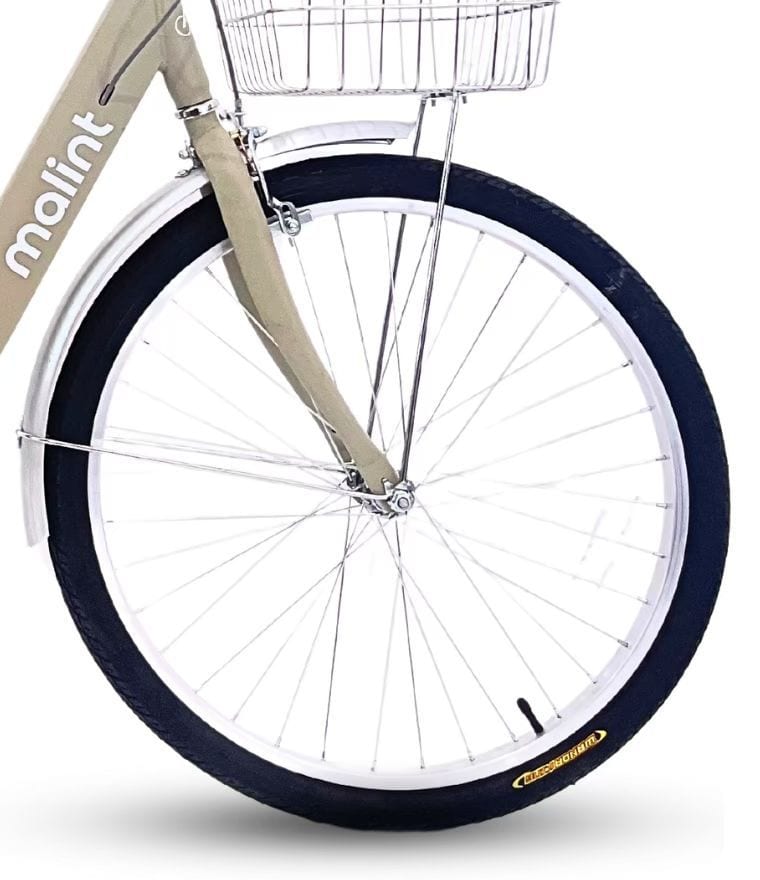 Front wheel and fork in cream
