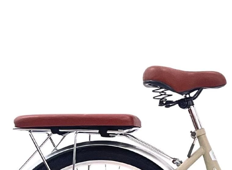 Brown saddle and padded rear carrier