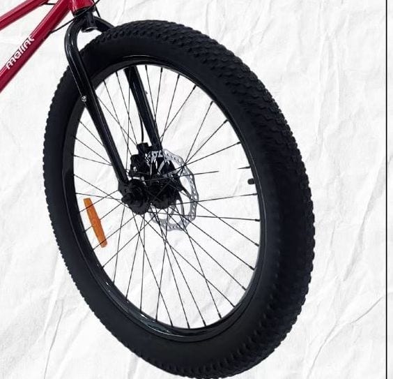 Front wheel, disc rotor and 3.0 inch tyre