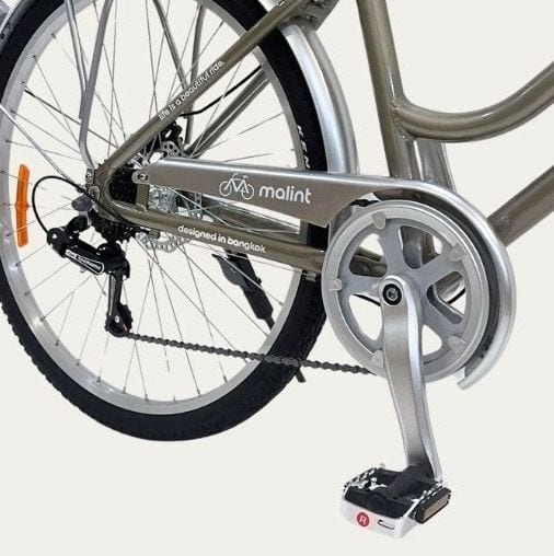 Crankset, chainguard and rear derailleur